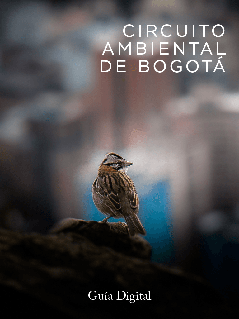 Portada revista digital - Circuito ambiental de Bogotá