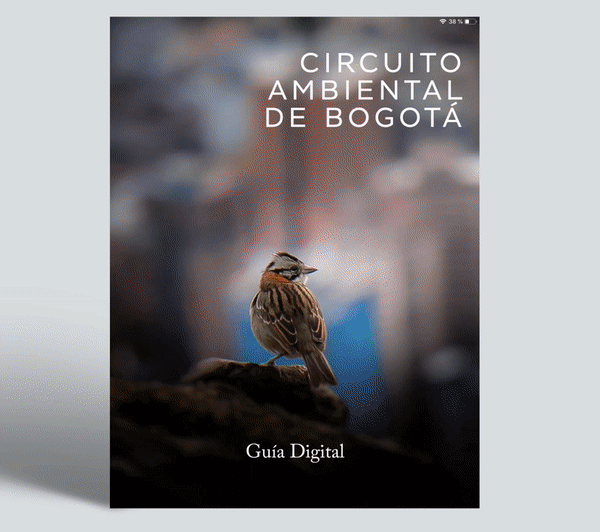 Diseño digital interactivo en revista